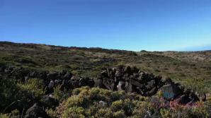 You take Carmen out to explore and she gets sneaky.